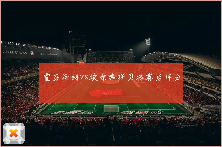 霍芬海姆vs埃尔弗斯贝格赛后评分