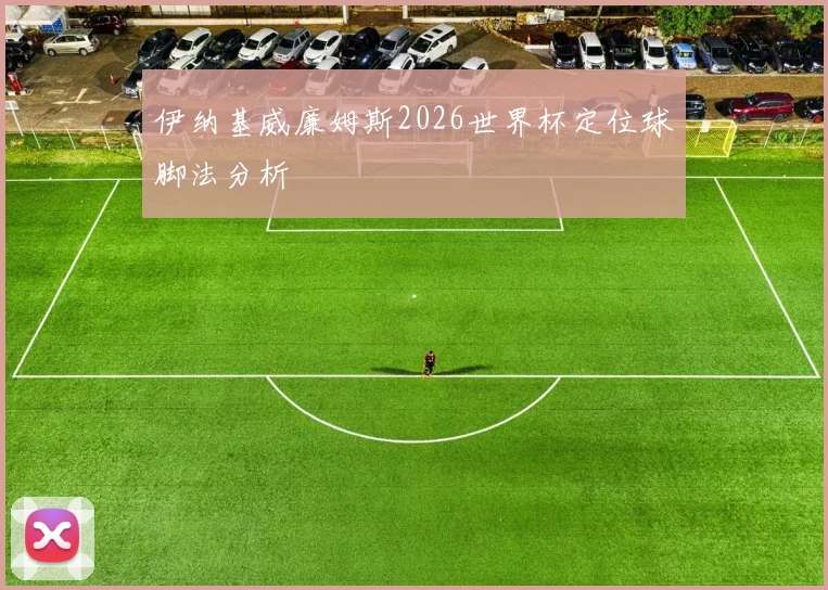 伊纳基威廉姆斯2026世界杯定位球脚法分析
