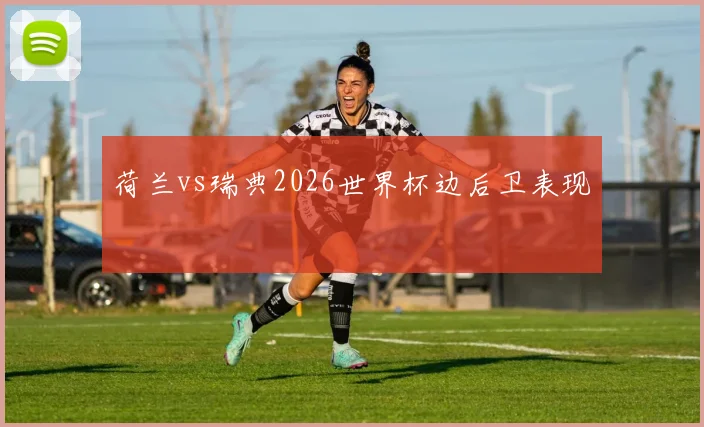 荷兰vs瑞典2026世界杯边后卫表现