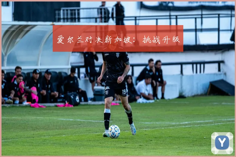 爱尔兰对决新加坡：挑战升级