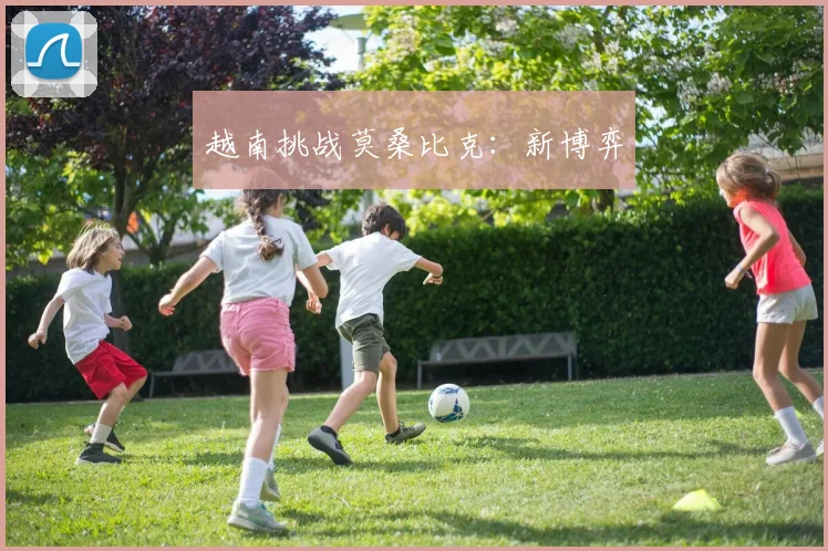 越南挑战莫桑比克：新博弈