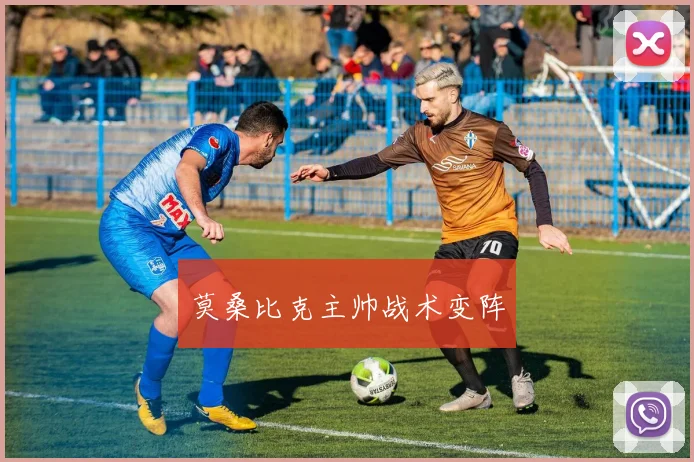莫桑比克主帅战术变阵