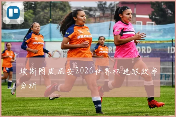 埃斯图皮尼安2026世界杯进球效率分析