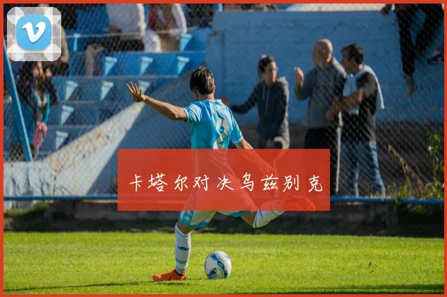 卡塔尔对决乌兹别克