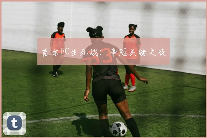 首尔FC生死战：争冠关键之夜