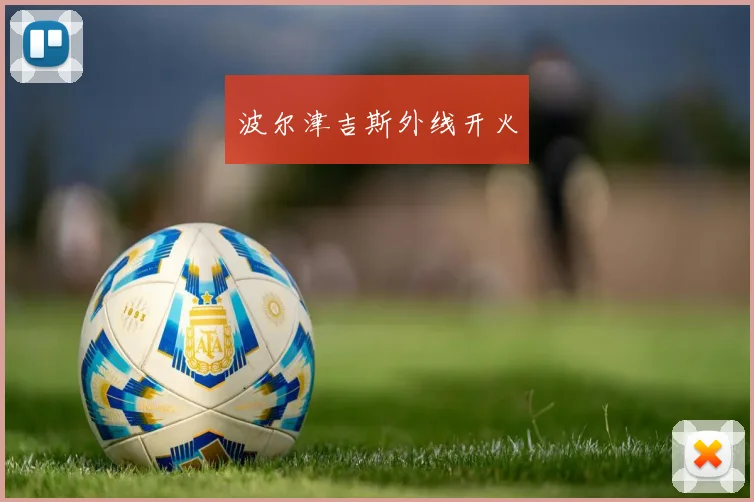 波尔津吉斯外线开火