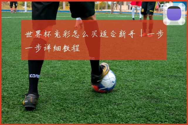 世界杯竞彩怎么买适合新手｜一步一步详细教程