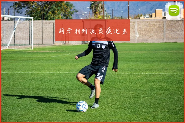 匈牙利对决莫桑比克