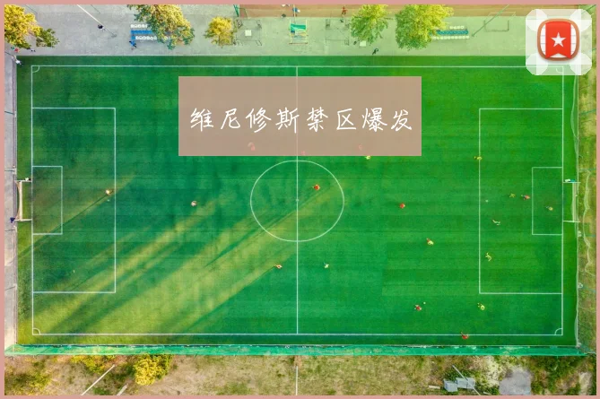 维尼修斯禁区爆发