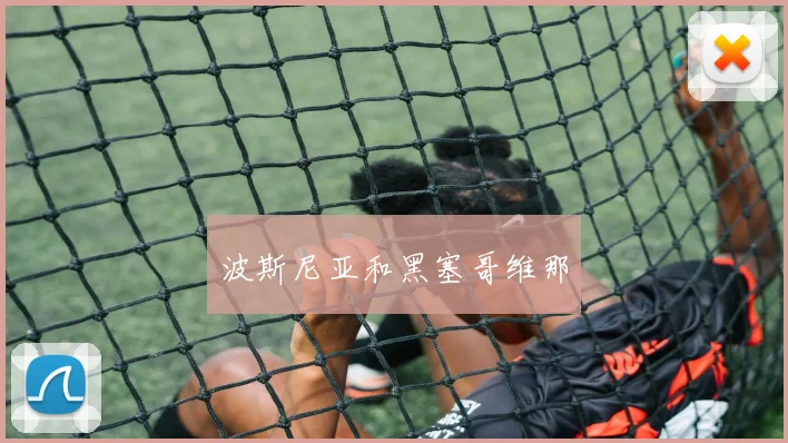 波斯尼亚和黑塞哥维那