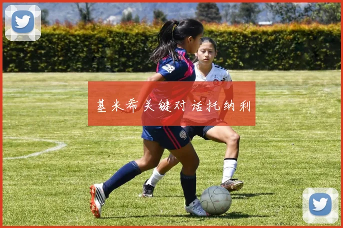 基米希关键对话托纳利