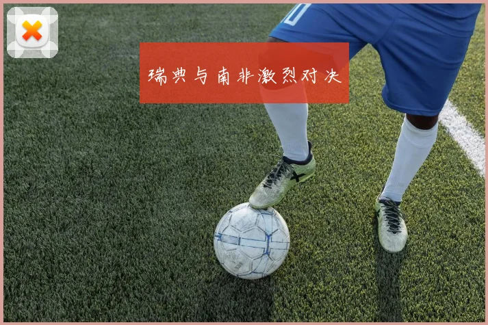 瑞典与南非激烈对决