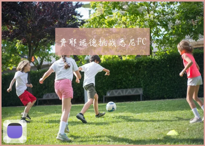 费耶诺德挑战悉尼FC