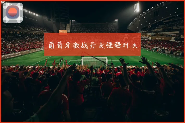葡萄牙激战丹麦强强对决