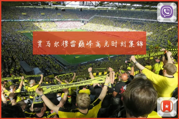 贾马尔穆雷巅峰高光时刻集锦