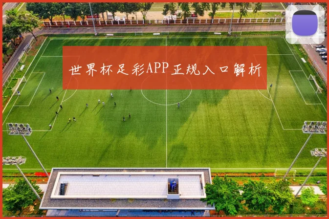 世界杯足彩APP正规入口解析