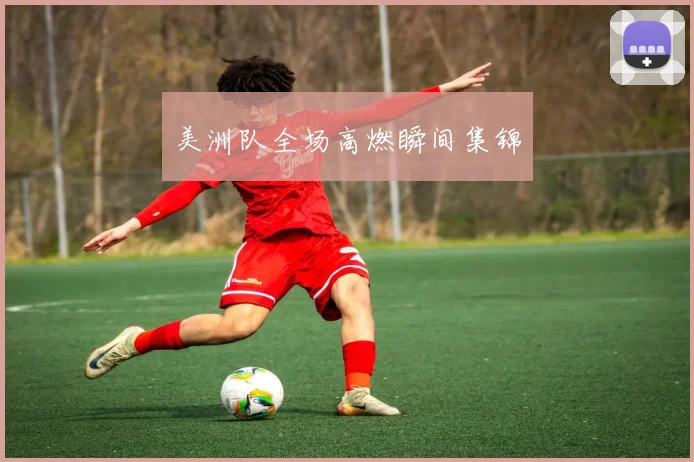 美洲队全场高燃瞬间集锦