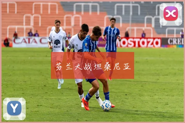 芬兰大战坦桑尼亚