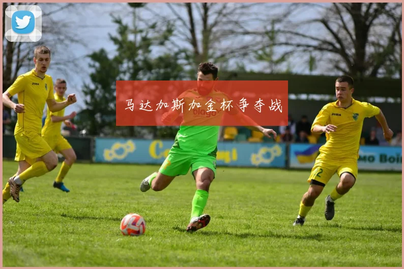 马达加斯加金杯争夺战