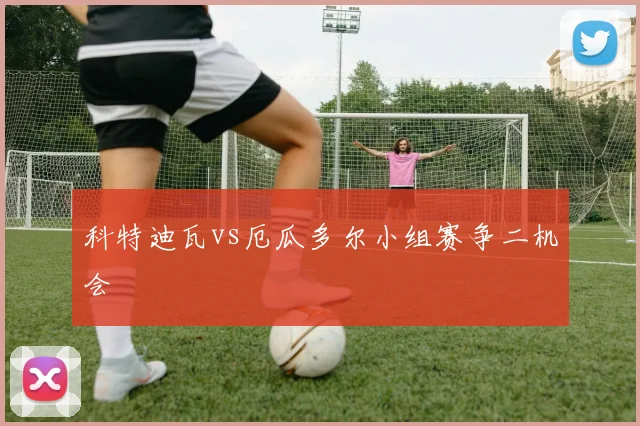 科特迪瓦vs厄瓜多尔小组赛争二机会