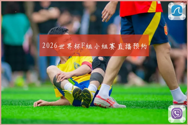 2026世界杯F组小组赛直播预约