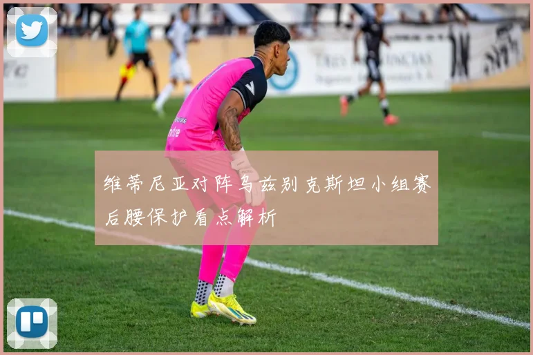 维蒂尼亚对阵乌兹别克斯坦小组赛后腰保护看点解析