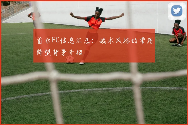 首尔FC信息汇总：战术风格的常用阵型背景介绍
