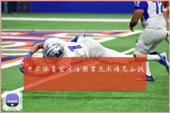 开云体育官方注册常见术语怎么找